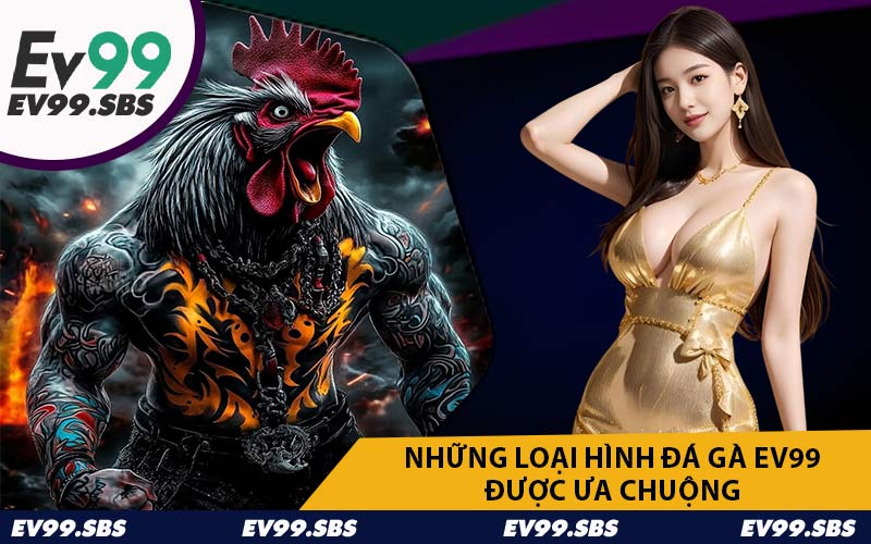 Những Loại Hình Đá Gà EV99 Được Ưa Chuộng