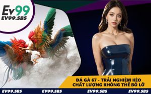 Đá Gà 67 - Trải Nghiệm Kèo Chất Lượng Không Thể Bỏ Lỡ